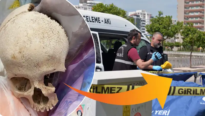 Sitenin Çöpünde Bulunan Kafatasının Sırrı: Şok Edici Gelişmeler!