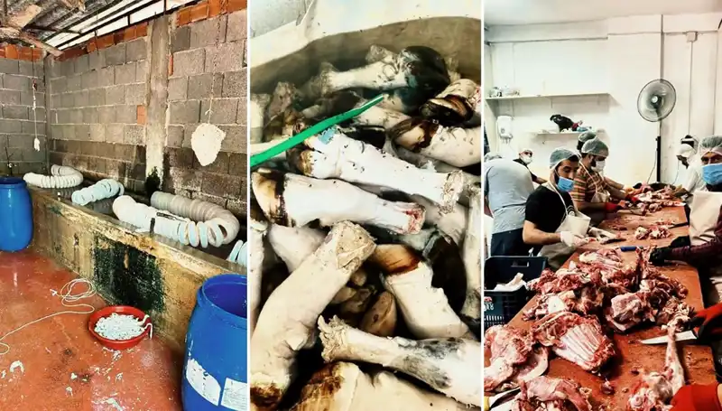 Adana'da 500 Kilodan Fazla Kaçak Paça Ele Geçirildi: Sağlık Tehlikesi Mi?