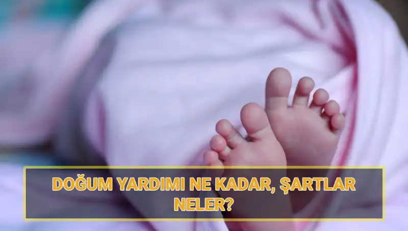 2025 Doğum Yardımı Başvuruları Başladı! Çocuk Parası Fırsatlarını Kaçırmayın