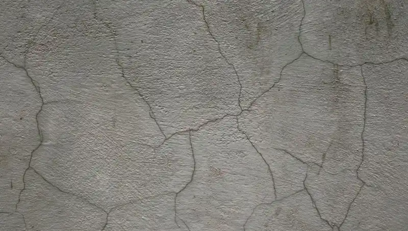 Canlı Beton: Yeni Malzeme Üzerine Devrim Niteliğinde Bir Gelişme