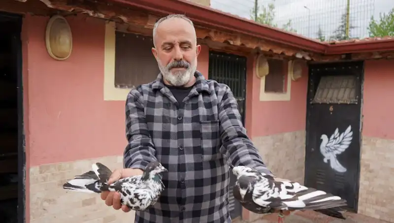 42 Yılın Hobisi Artık Bir İş: İl Dışından Büyük İlgi!