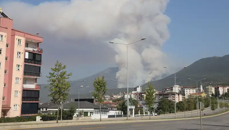 Denizli Orman Yangını: Şüpheli Gözaltında, Yangının Sebebi Araştırılıyor