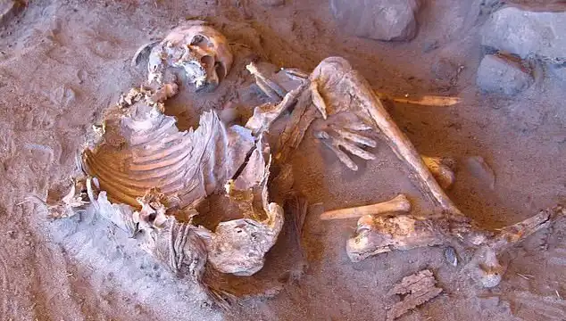 Yeni Mumya Keşfi: İnsan Soy Ağacını Değiştiren Şok Edici Bulgular