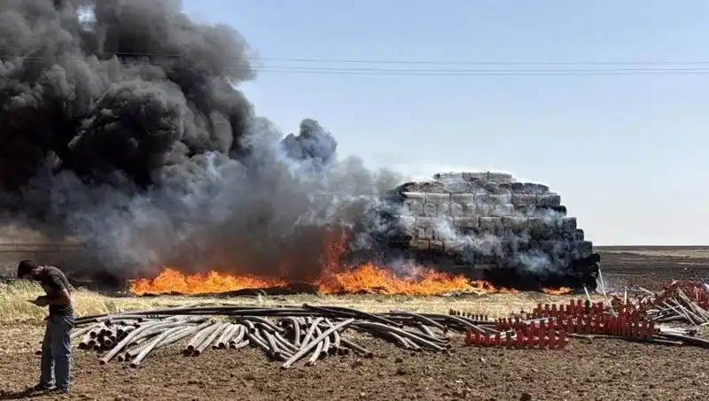 Mardin'de Anız Yangını: Tarım Arazilerini Tehdit Eden Son Gelişmeler