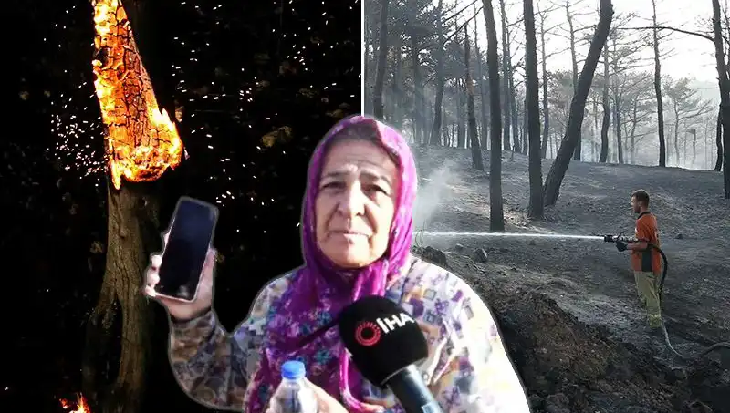Çanakkale’de Orman Yangınları Kontrol Altına Alındı: İz Bırakan Kayıplar!