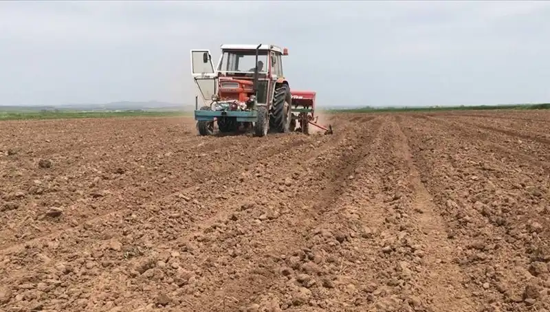 Son 35 Yılın En Kurak Mart Ayı: Yağışlarda Büyük Düşüş