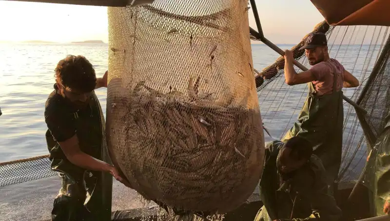 Balıkçılar İhlal Edenlere Karşı Önlem Alıyor: Ceza Yağmuru Başladı