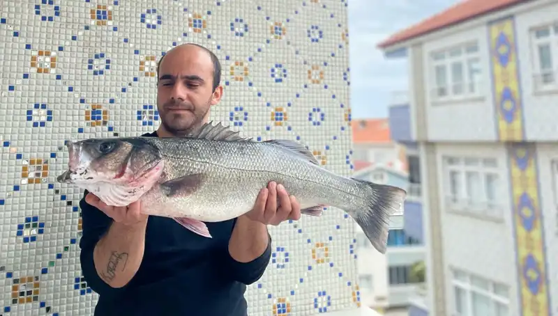 7,5 Kiloluk Dev Levrek Avında Efsanevi Mücadele ve İnanılmaz Hikaye
