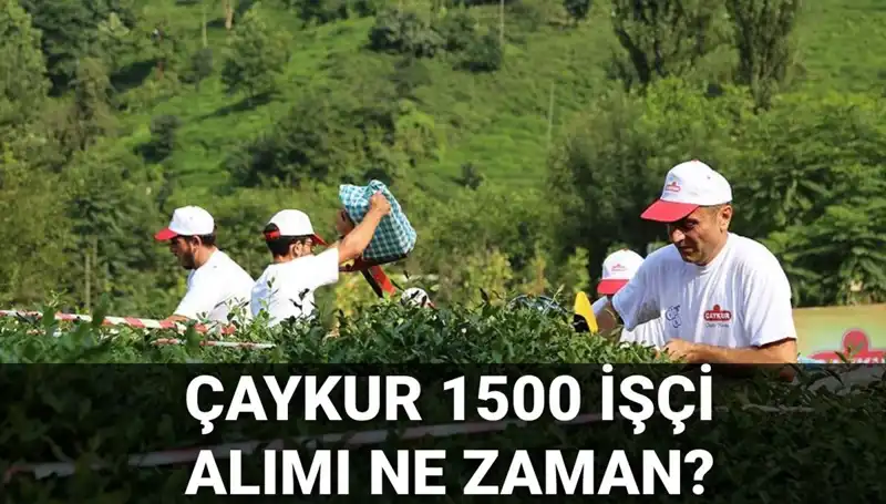 Çaykur İşçi Alımı Başvuru Tarihleri ve Süreç Detayları Açıklandı!
