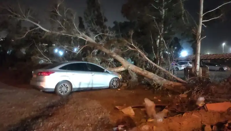 Hatay'da Şiddetli Fırtına: Tekne Alabora Oldu, Ağaçlar Devrildi!