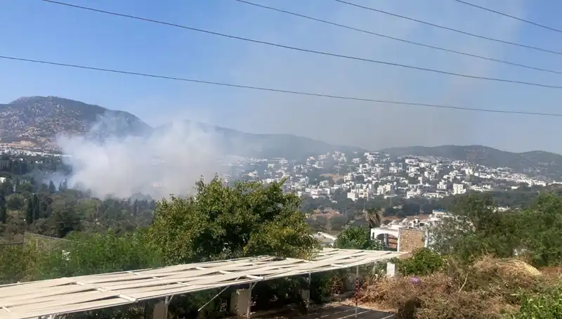 Muğla'daki Orman Yangınları Kontrol Altına Alındı: Doğanın Yeniden Doğuşu Başladı