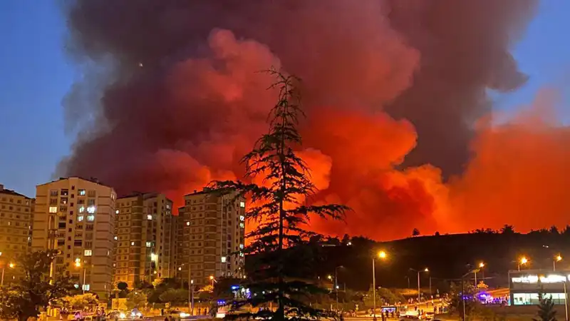 Bursa’da Yangınlar Alarm Veriyor: Şehir Tehlikede mi?