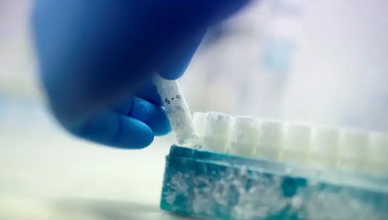 Tıbbi Felaket mi? 85 Sperm Donörü Binlerce Çocuğa Baba Olmuş!