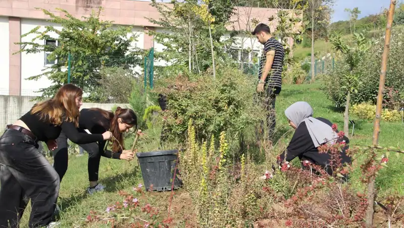 Düzce'nin Mucizesi: Hayaldi Gerçek Oldu, Şimdi Dünya Çapında Tanınıyor!