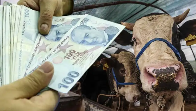 Bayram Öncesi Emekli ve Memur Maaşları Yatacak mı? Tüm Detaylar Burada!