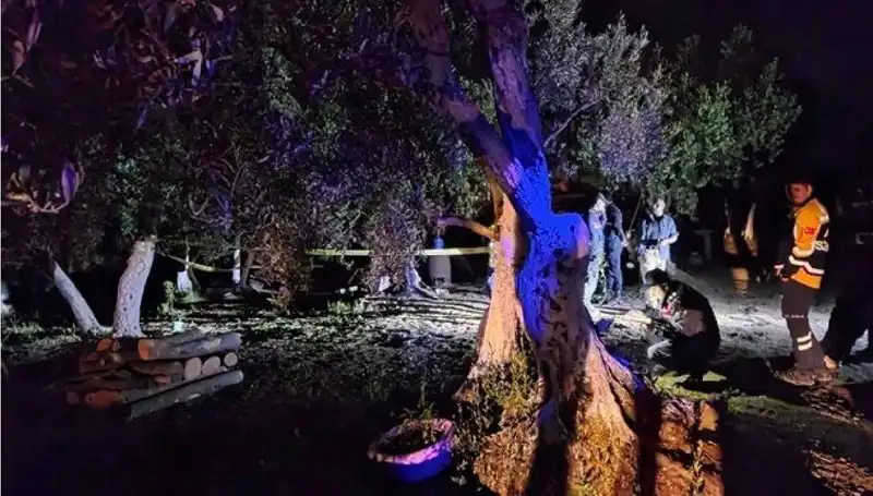 Çiftlikte Baltalı Vahşet: Şok Edici Olayda Bir Kişi Tutuklandı