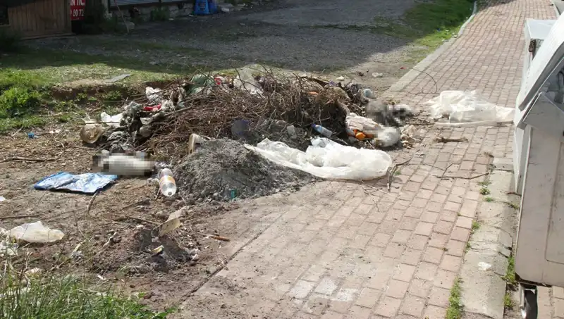 Antalya'da Şok Edici Vahşet: 10 Kedi Ölüsü Bulundu, İnceleme Başlatıldı