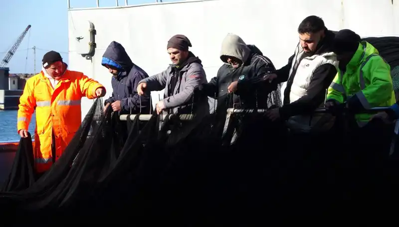 Efsanevi Hamsi Avı: Tekneler Neden Erken Paydos Etti?
