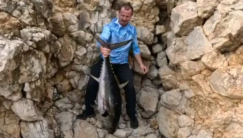 Saros’ta 30 Kilo Ağırlığında Dev Balık Oltaya Takıldı