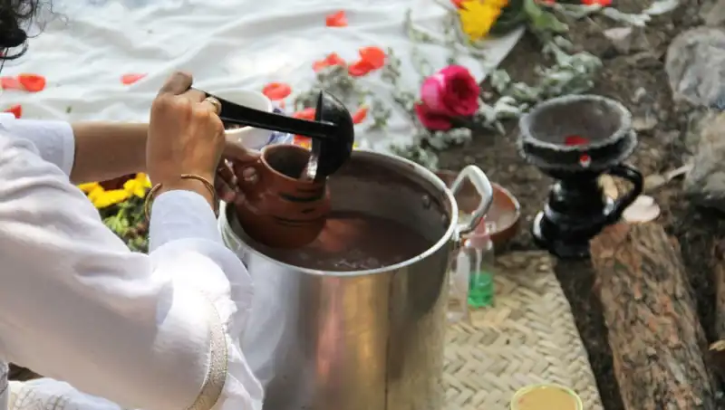 Ayahuasca: Psikoaktif İçecek Nedir ve Yasak mı?
